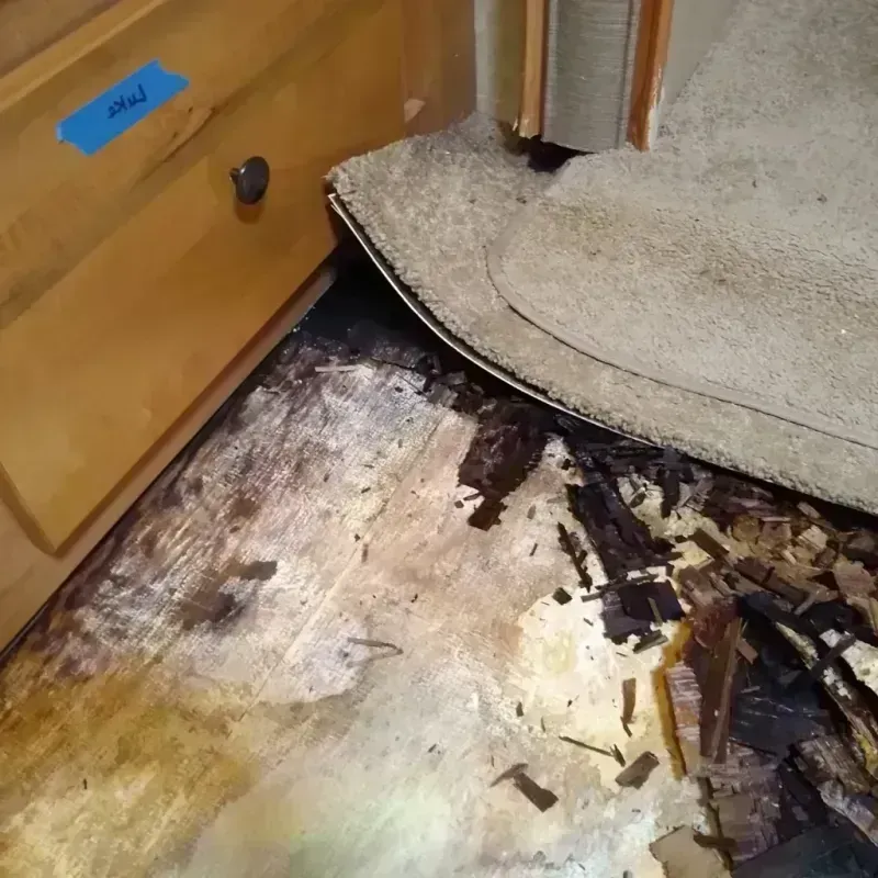 Wood Floor Water Damage in New Haven, MO